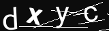 verifycode